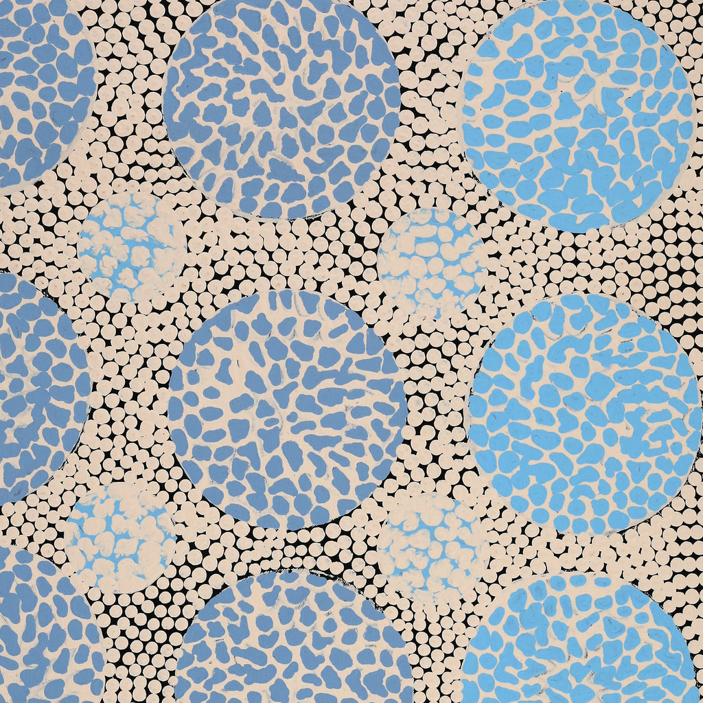 Aboriginal Artwork by Drusilla Nangala Spencer, Watiya-warnu Jukurrpa (Seed Dreaming), 76x46cm