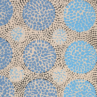 Aboriginal Artwork by Drusilla Nangala Spencer, Watiya-warnu Jukurrpa (Seed Dreaming), 76x46cm