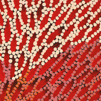 Aboriginal Art by Drusilla Nangala Spencer, Watiya-warnu Jukurrpa (Seed Dreaming), 91x46cm - ART ARK®