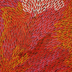 Aboriginal Art by Drusilla Nangala Spencer, Watiya-warnu Jukurrpa (Seed Dreaming), 91x46cm - ART ARK®