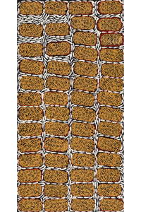 Aboriginal Artwork by Drusilla Nangala Spencer, Watiya-warnu Jukurrpa (Seed Dreaming), 91x46cm
