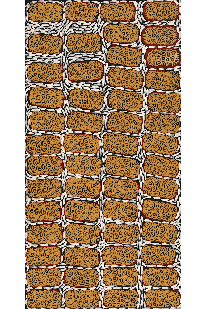 Aboriginal Artwork by Drusilla Nangala Spencer, Watiya-warnu Jukurrpa (Seed Dreaming), 91x46cm