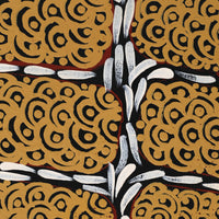 Aboriginal Artwork by Drusilla Nangala Spencer, Watiya-warnu Jukurrpa (Seed Dreaming), 91x46cm
