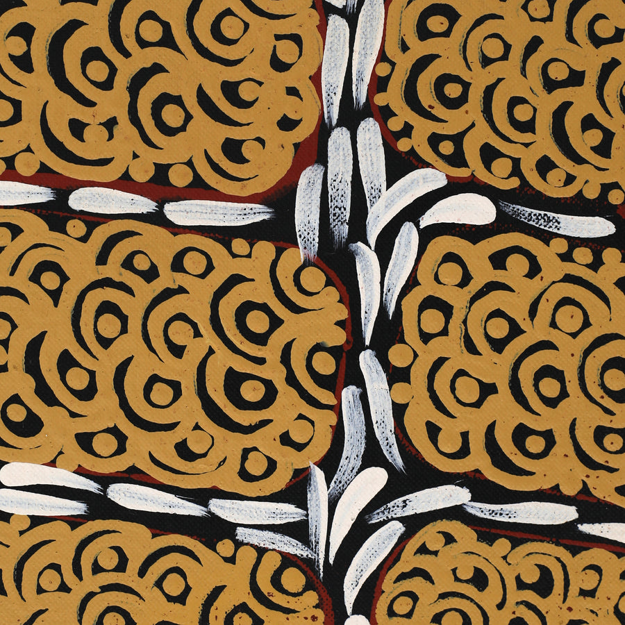 Aboriginal Artwork by Drusilla Nangala Spencer, Watiya-warnu Jukurrpa (Seed Dreaming), 91x46cm