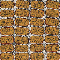 Aboriginal Artwork by Drusilla Nangala Spencer, Watiya-warnu Jukurrpa (Seed Dreaming), 91x46cm