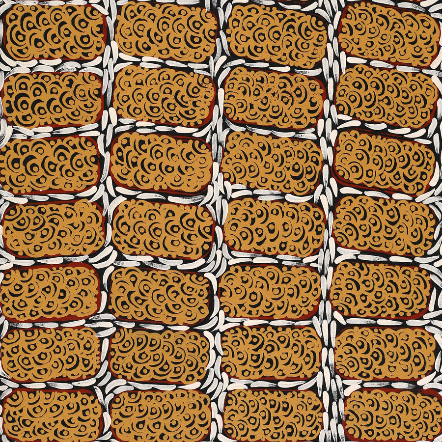 Aboriginal Artwork by Drusilla Nangala Spencer, Watiya-warnu Jukurrpa (Seed Dreaming), 91x46cm