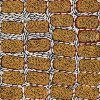 Aboriginal Artwork by Drusilla Nangala Spencer, Watiya-warnu Jukurrpa (Seed Dreaming), 91x46cm