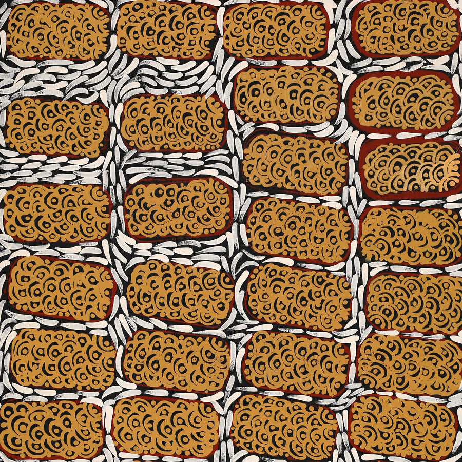 Aboriginal Artwork by Drusilla Nangala Spencer, Watiya-warnu Jukurrpa (Seed Dreaming), 91x46cm