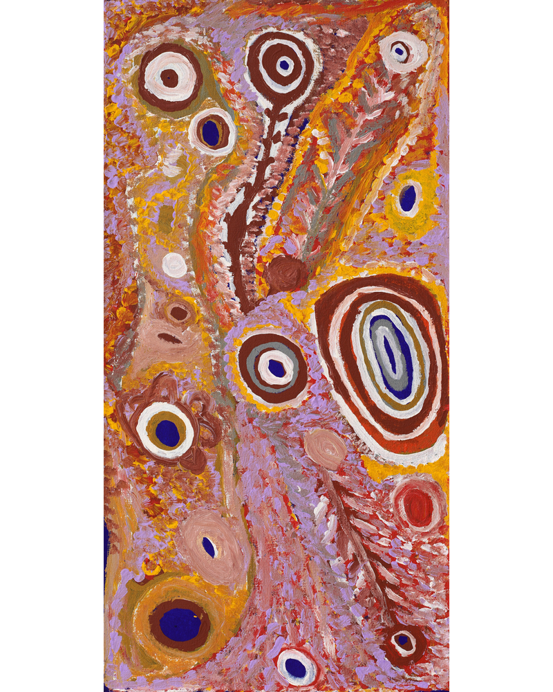 Aboriginal Artwork by Eileen Stanley Nanna, Untitled, 61x30cm