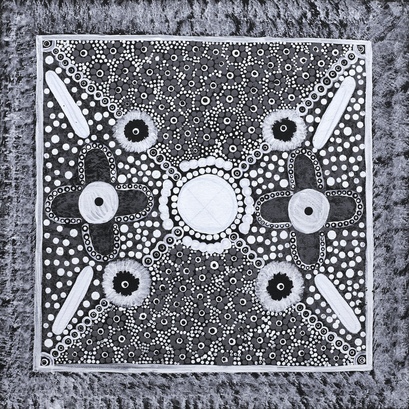 Aboriginal Artwork by Elsie Nampijinpa Moore, Watiya-warnu Jukurrpa (Seed Dreaming), 30x30cm