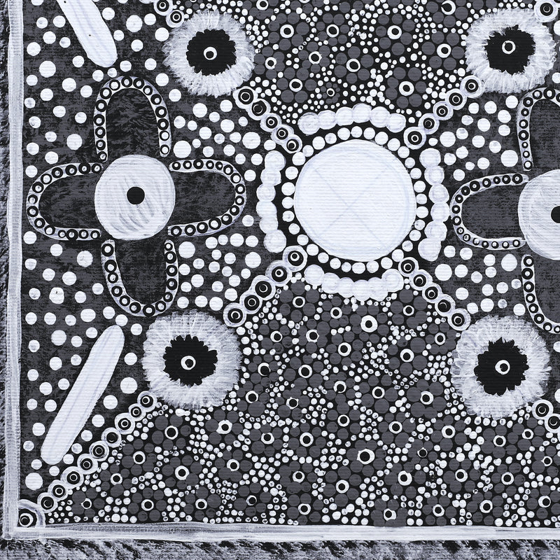 Aboriginal Artwork by Elsie Nampijinpa Moore, Watiya-warnu Jukurrpa (Seed Dreaming), 30x30cm