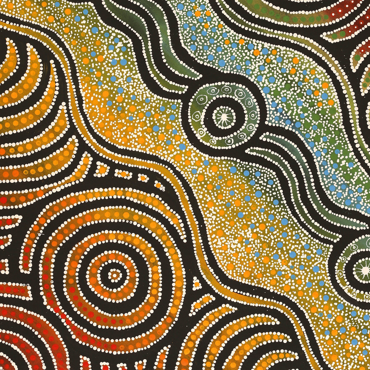 Aboriginal Art by Elsie Taylor, Walka, 91x76cm - ART ARK®