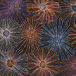 Aboriginal Art by Evelyn Nangala Robertson, Ngapa Jukurrpa - Puyurru, 107x76cm - ART ARK®