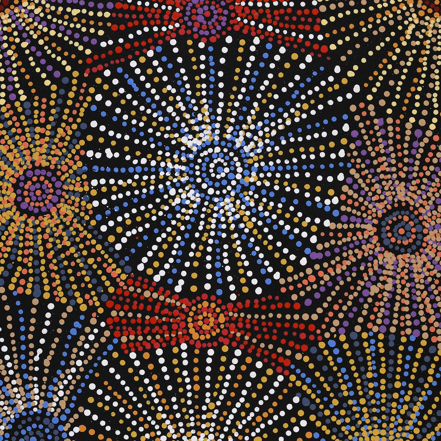 Aboriginal Artwork by Evelyn Nangala Robertson, Ngapa Jukurrpa - Puyurru, 91x46cm