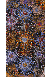 Aboriginal Artwork by Evelyn Nangala Robertson, Ngapa Jukurrpa - Puyurru, 91x46cm