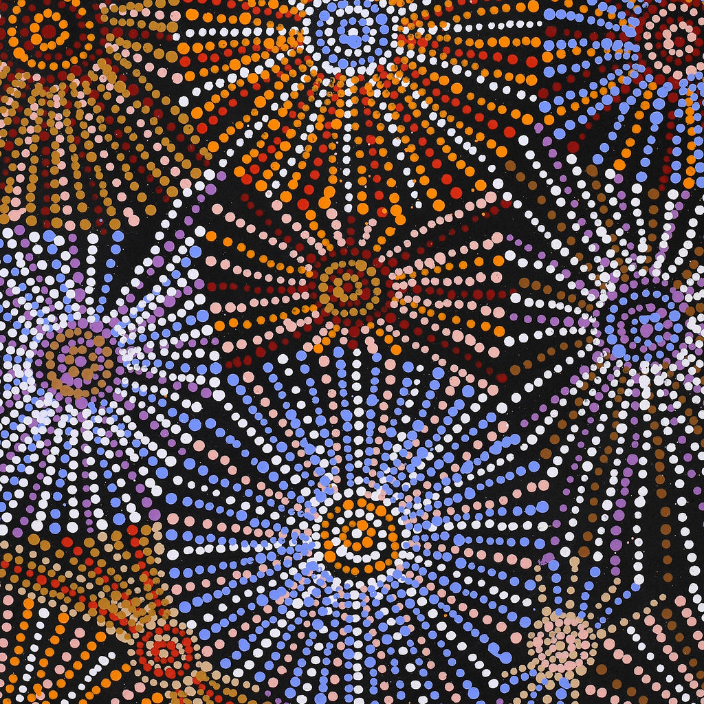 Aboriginal Artwork by Evelyn Nangala Robertson, Ngapa Jukurrpa - Puyurru, 91x46cm
