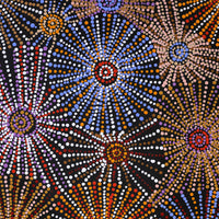 Aboriginal Artwork by Evelyn Nangala Robertson, Ngapa Jukurrpa - Puyurru, 91x46cm