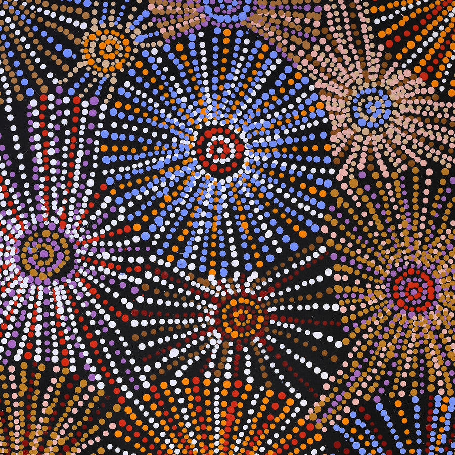 Aboriginal Artwork by Evelyn Nangala Robertson, Ngapa Jukurrpa - Puyurru, 91x46cm
