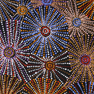 Aboriginal Art by Evelyn Nangala Robertson, Ngapa Jukurrpa - Puyurru, 91x46cm - ART ARK®