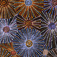 Aboriginal Art by Evelyn Nangala Robertson, Ngapa Jukurrpa - Puyurru, 91x46cm - ART ARK®