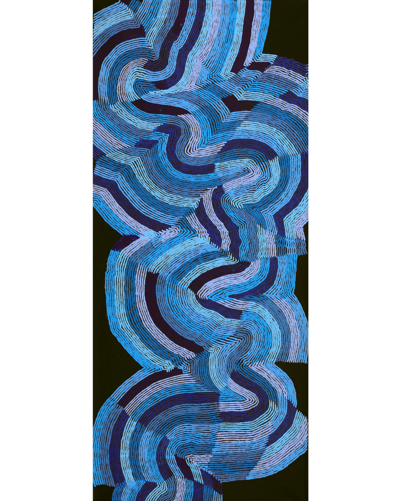 Aboriginal Artwork by Flora Nakamarra Brown, Mina Mina Jukurrpa, 107x46cm
