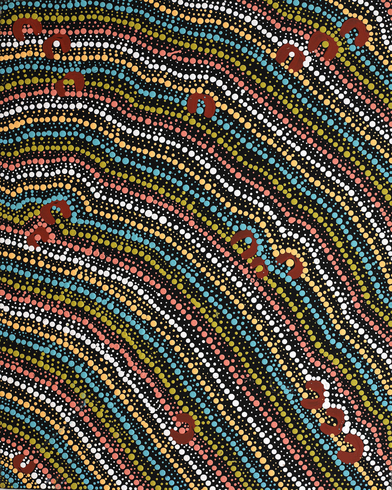 Aboriginal Artwork by Florence Nungarrayi Tex, Lappi Lappi Jukurrpa, 50x40cm