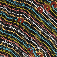 Aboriginal Artwork by Florence Nungarrayi Tex, Lappi Lappi Jukurrpa, 50x40cm