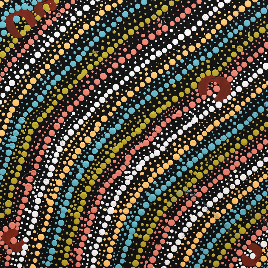 Aboriginal Artwork by Florence Nungarrayi Tex, Lappi Lappi Jukurrpa, 50x40cm