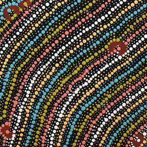 Aboriginal Artwork by Florence Nungarrayi Tex, Lappi Lappi Jukurrpa, 50x40cm - ART ARK®