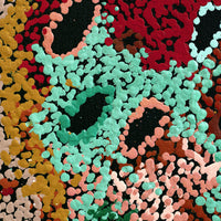 Aboriginal Artwork by Francie Ingkatji, Tjukula(Waterholes), 85x75cm