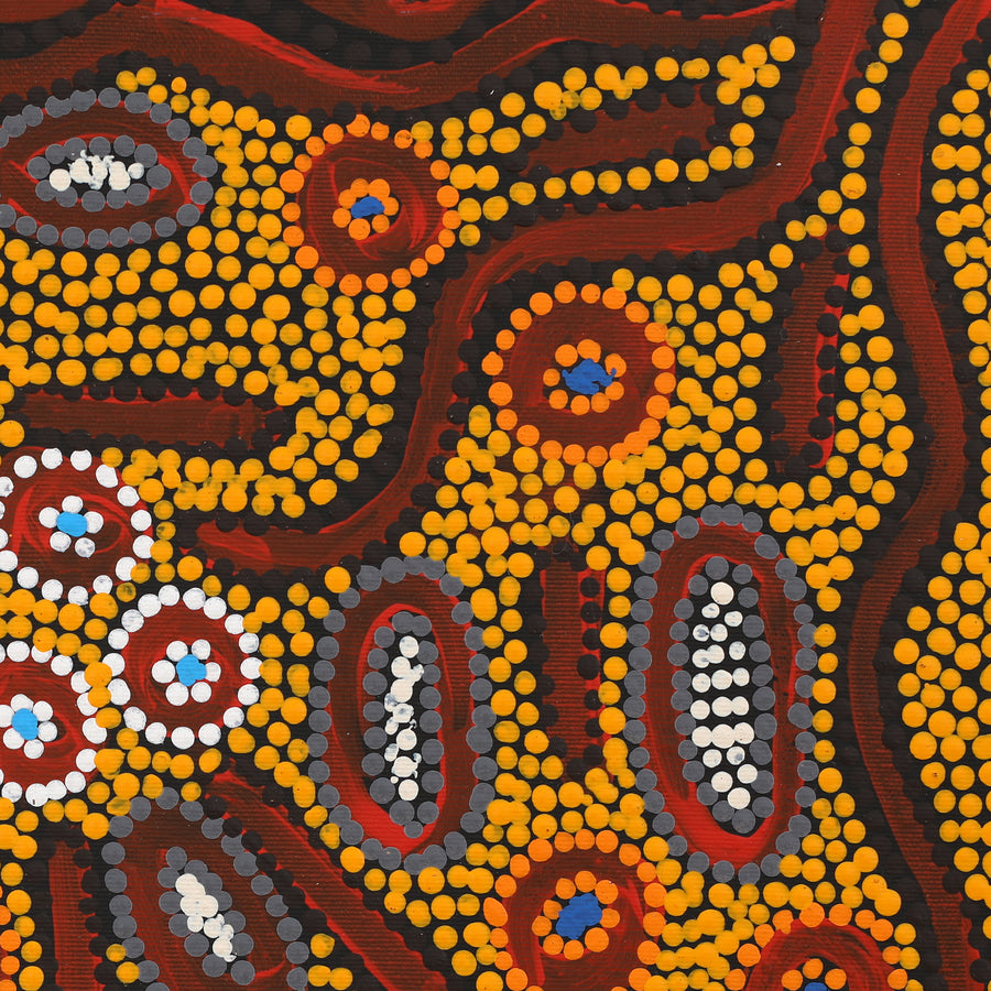 Aboriginal Artwork by Freda Napaljarri Jurrah, Witi Jukurrpa (Ceremonial Pole Dreaming) - Yanjirlpiri, 40x40cm