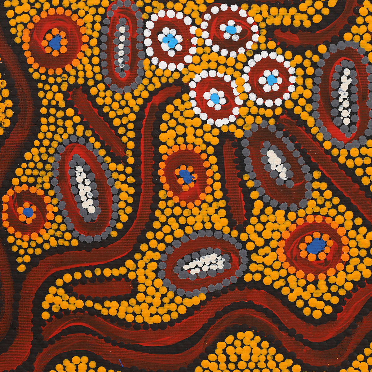 Aboriginal Art by Freda Napaljarri Jurrah, Witi Jukurrpa (Ceremonial Pole Dreaming) - Yanjirlpiri, 40x40cm - ART ARK®