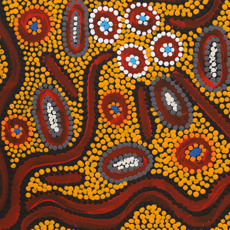 Aboriginal Artwork by Freda Napaljarri Jurrah, Witi Jukurrpa (Ceremonial Pole Dreaming) - Yanjirlpiri, 40x40cm