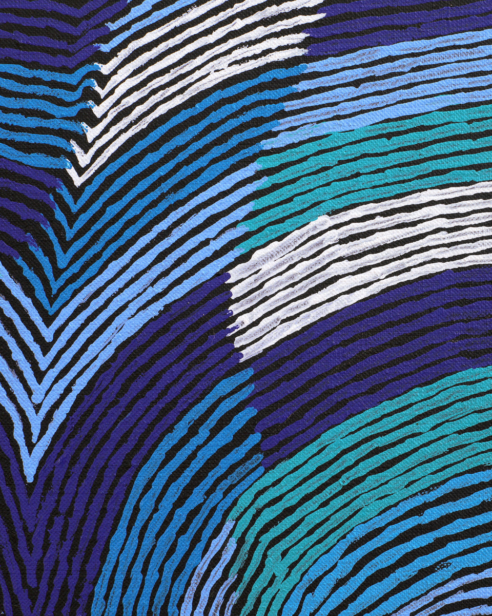 Aboriginal Artwork by Flora Nakamarra Brown, Mina Mina Jukurrpa, 183x122cm