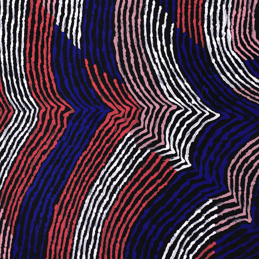 Aboriginal Artwork by Flora Nakamarra Brown, Mina Mina Jukurrpa - Ngalyipi, 107x91