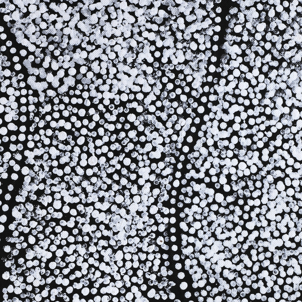Aboriginal Artwork by Flora Nakamarra Brown, Mina Mina Jukurrpa, 122x122cm