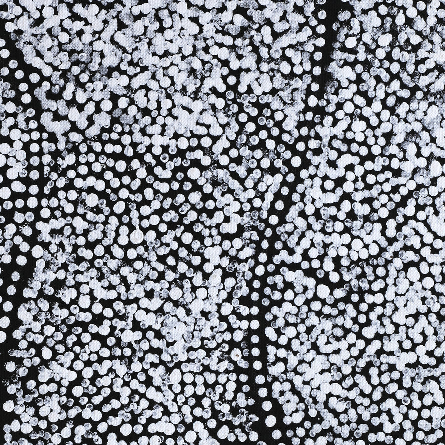 Aboriginal Artwork by Flora Nakamarra Brown, Mina Mina Jukurrpa, 122x122cm