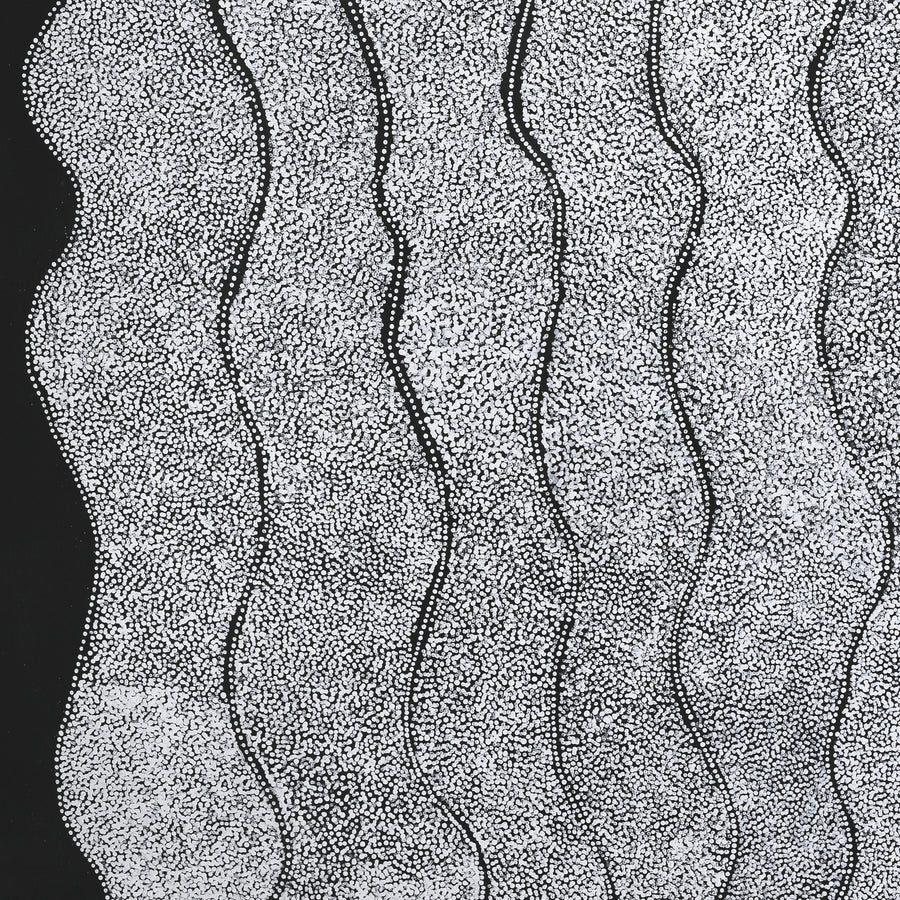 Aboriginal Artwork by Flora Nakamarra Brown, Mina Mina Jukurrpa, 122x122cm
