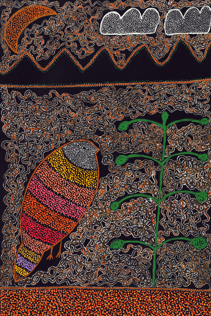 Aboriginal Artwork by Geraldine Napangardi Granites, Jurlpu kuja kalu nyinami Yurntumu-wana (Birds that live around Yuendumu), 91x61cm