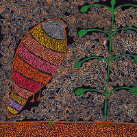 Aboriginal Artwork by Geraldine Napangardi Granites, Jurlpu kuja kalu nyinami Yurntumu-wana (Birds that live around Yuendumu), 91x61cm