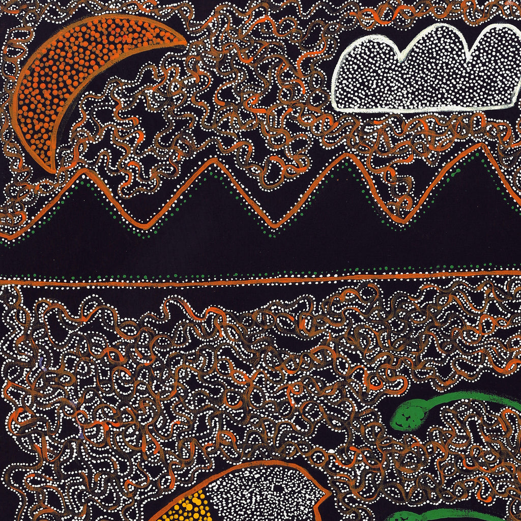 Aboriginal Artwork by Geraldine Napangardi Granites, Jurlpu kuja kalu nyinami Yurntumu-wana (Birds that live around Yuendumu), 91x61cm