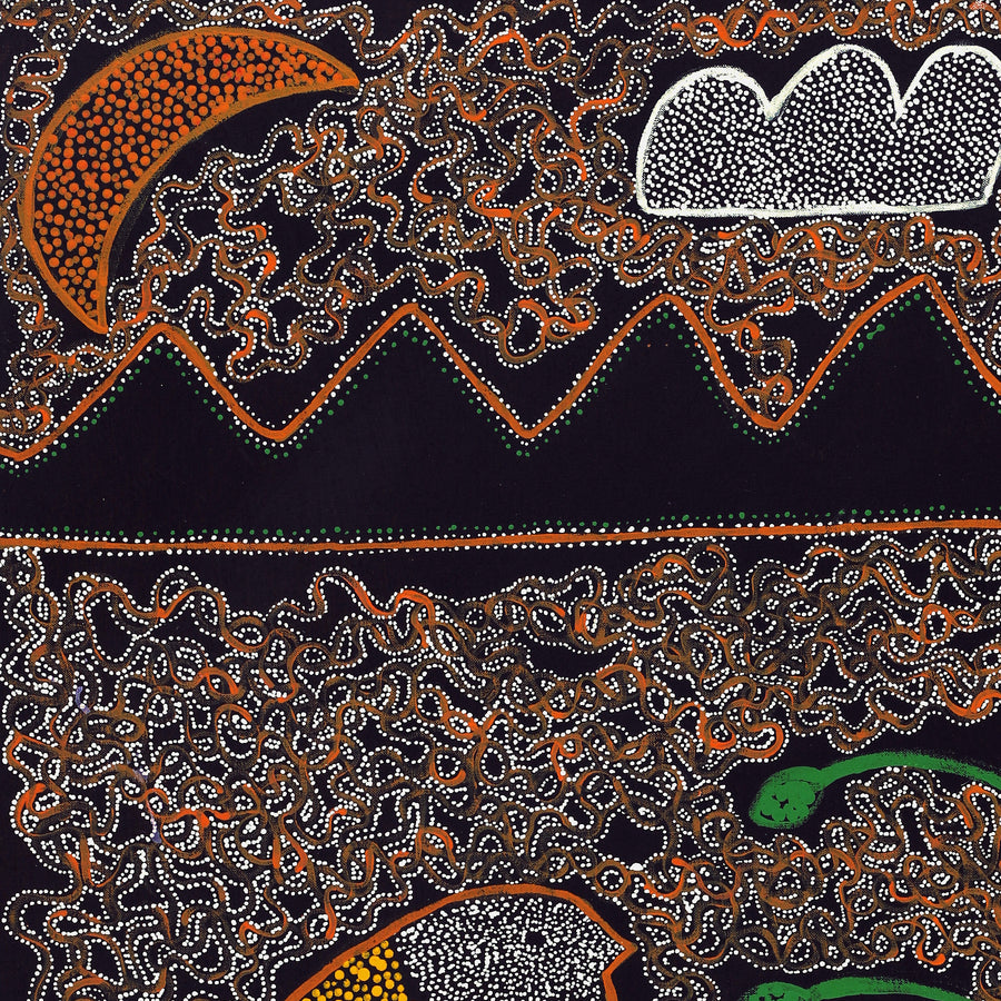 Aboriginal Artwork by Geraldine Napangardi Granites, Jurlpu kuja kalu nyinami Yurntumu-wana (Birds that live around Yuendumu), 91x61cm
