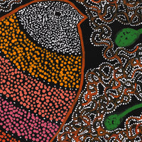 Aboriginal Artwork by Geraldine Napangardi Granites, Jurlpu kuja kalu nyinami Yurntumu-wana (Birds that live around Yuendumu), 91x61cm