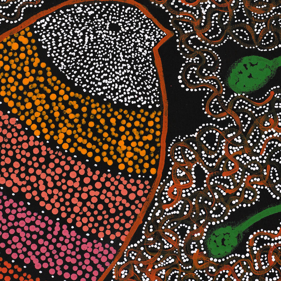 Aboriginal Artwork by Geraldine Napangardi Granites, Jurlpu kuja kalu nyinami Yurntumu-wana (Birds that live around Yuendumu), 91x61cm