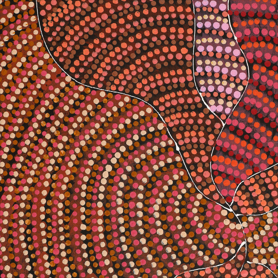 Aboriginal Artwork by Grace Napangardi Butcher, Pikilyi Jukurrpa (Vaughan Springs Dreaming), 152x61cm