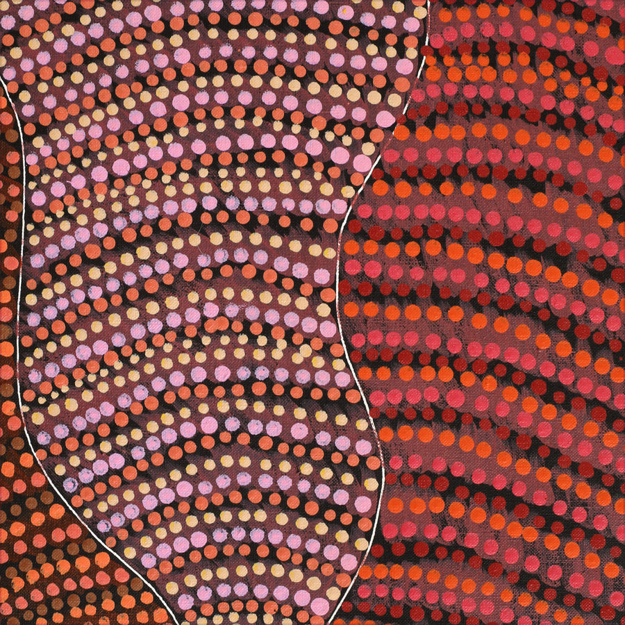 Aboriginal Artwork by Grace Napangardi Butcher, Pikilyi Jukurrpa (Vaughan Springs Dreaming), 152x61cm