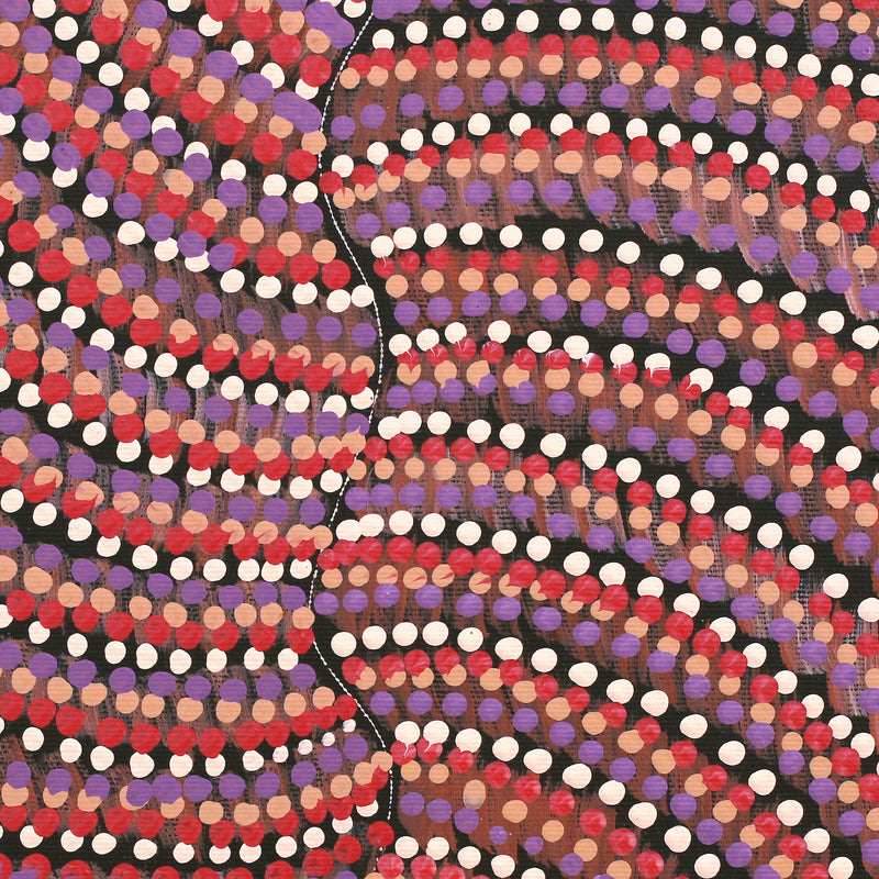 Aboriginal Artwork by Grace Napangardi Butcher, Pikilyi Jukurrpa (Vaughan Springs Dreaming), 30x30cm