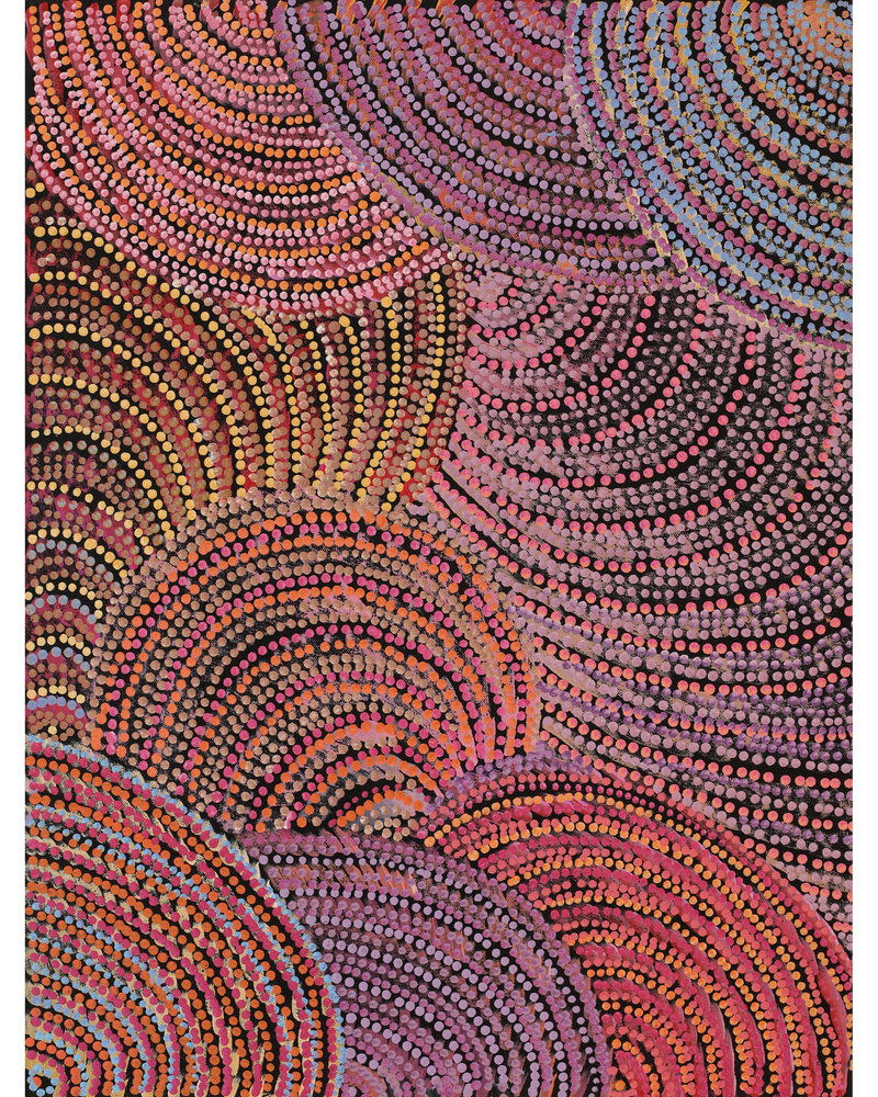 Aboriginal Artwork by Grace Napangardi Butcher, Pikilyi Jukurrpa (Vaughan Springs Dreaming), 61x46cm