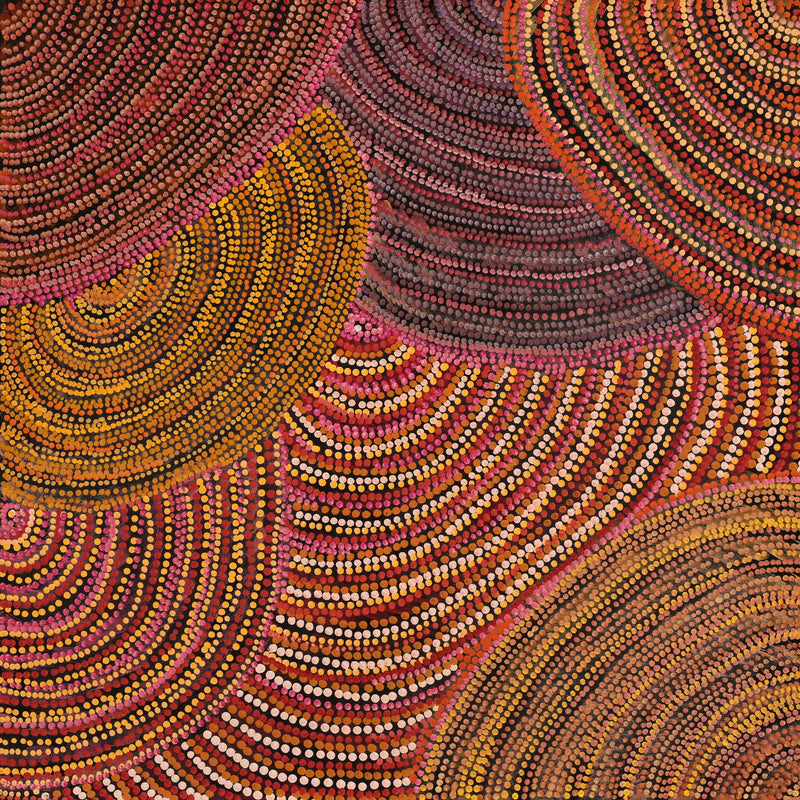 Aboriginal Artwork by Grace Napangardi Butcher, Pikilyi Jukurrpa (Vaughan Springs Dreaming), 61x61cm