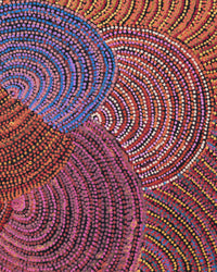 Grace Napangardi Butcher, Pikilyi Jukurrpa (Vaughan Springs Dreaming), 91x46cm